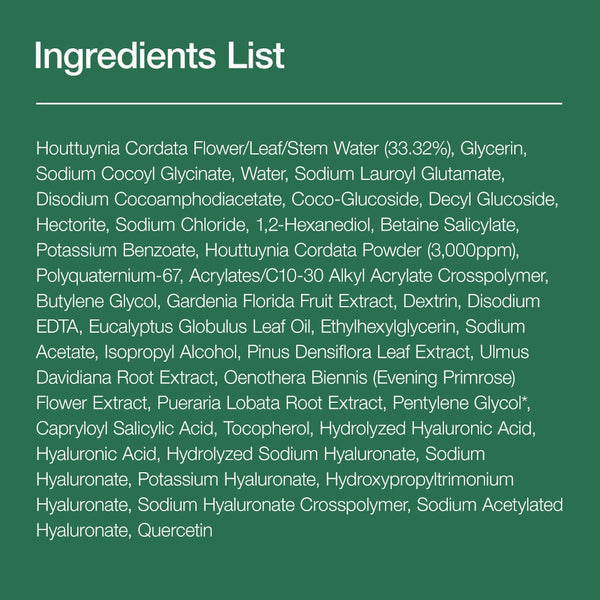 Anua - Heartleaf Quercetinol Pore Deep Cleansing Foam 150ml